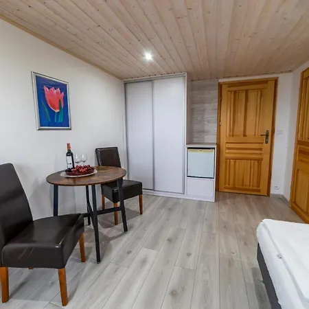 게스트하우스 Pensjonacik Krystyna - Krystyna